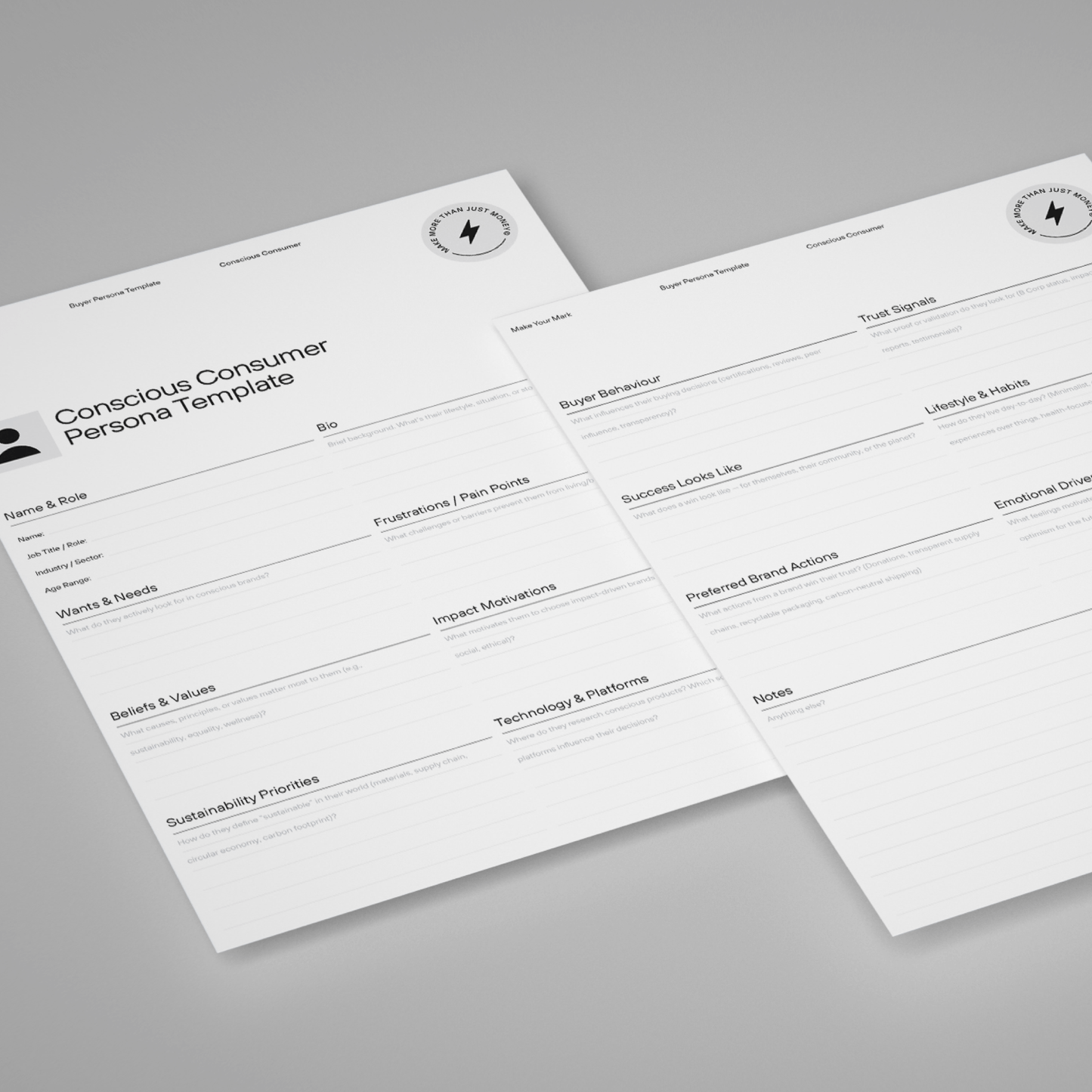 Conscious Consumer Persona Template